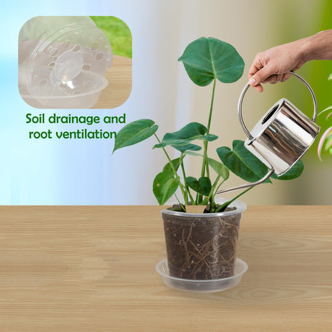 TNTIWQ transparent planter container shows soil moisture and root development.