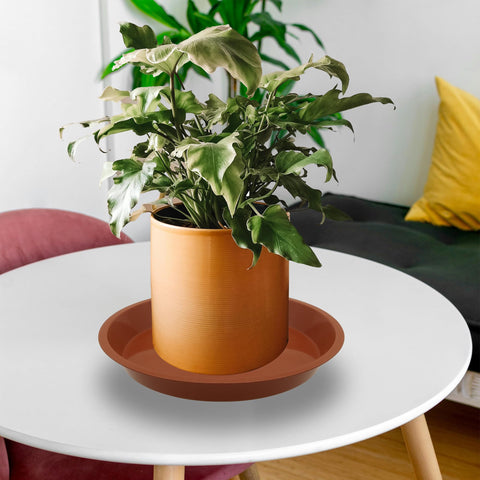 TNTIWQ water-tray keeps surfaces clean by catching excess drips.