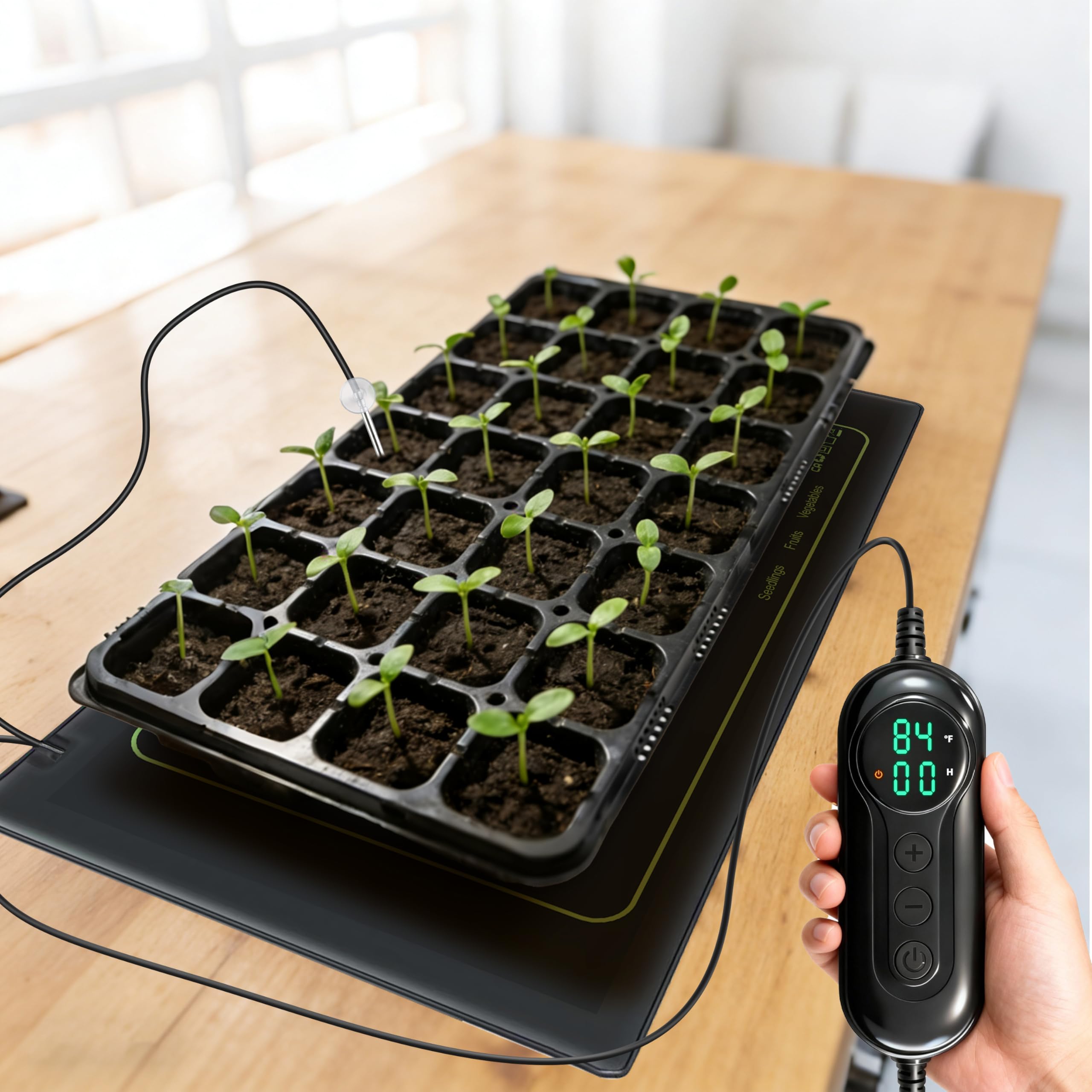 Toaspa compact and durable seedling warmer for home greenhouse use
