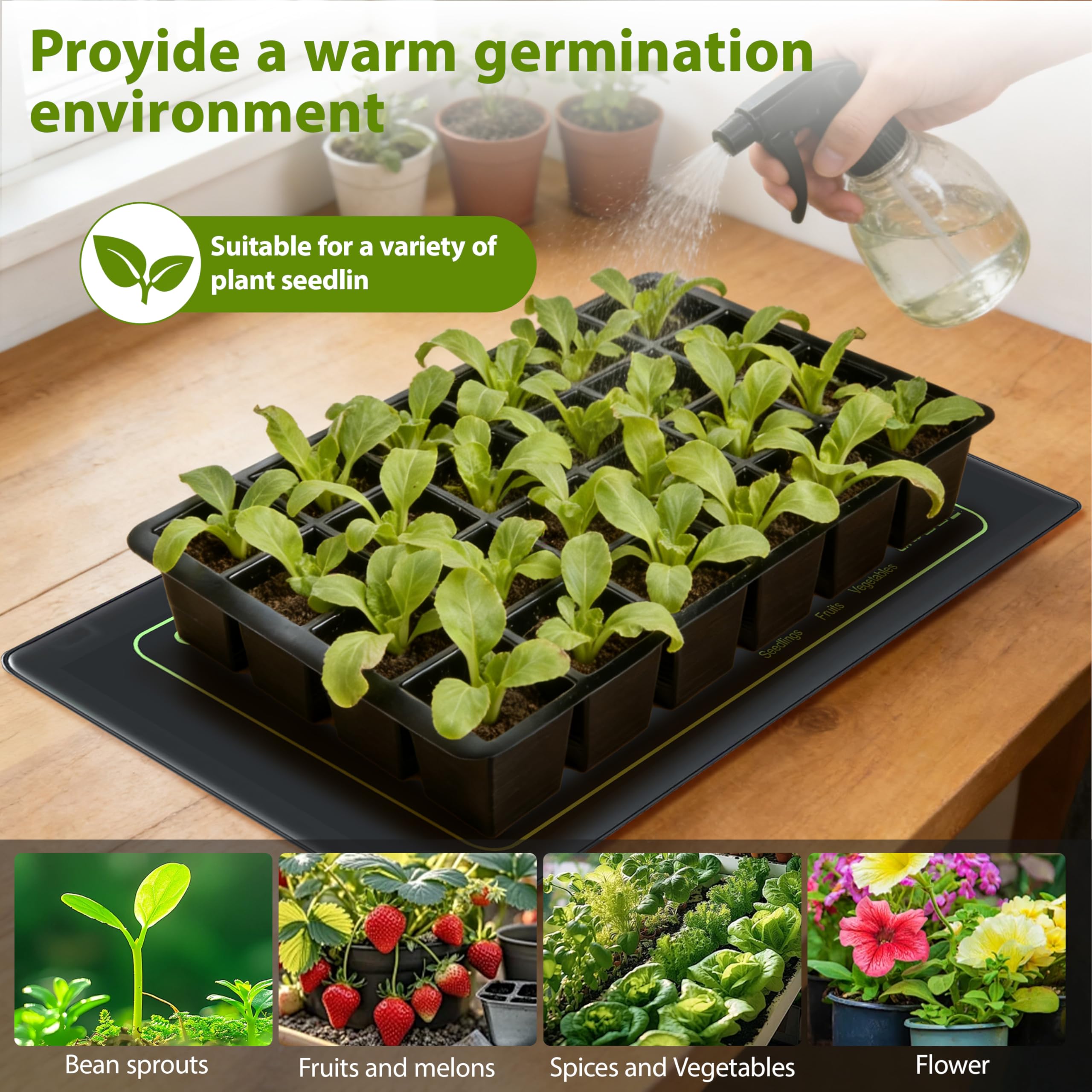Toaspa seed germination warmth supports faster seed starting
