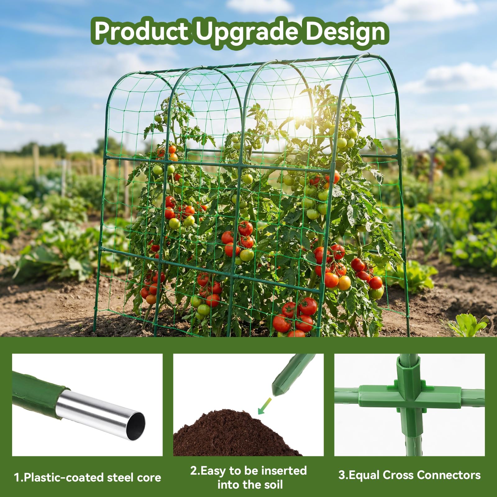 TOCCYARD arch trellis for vegetables promotes even light exposure and air circulation.