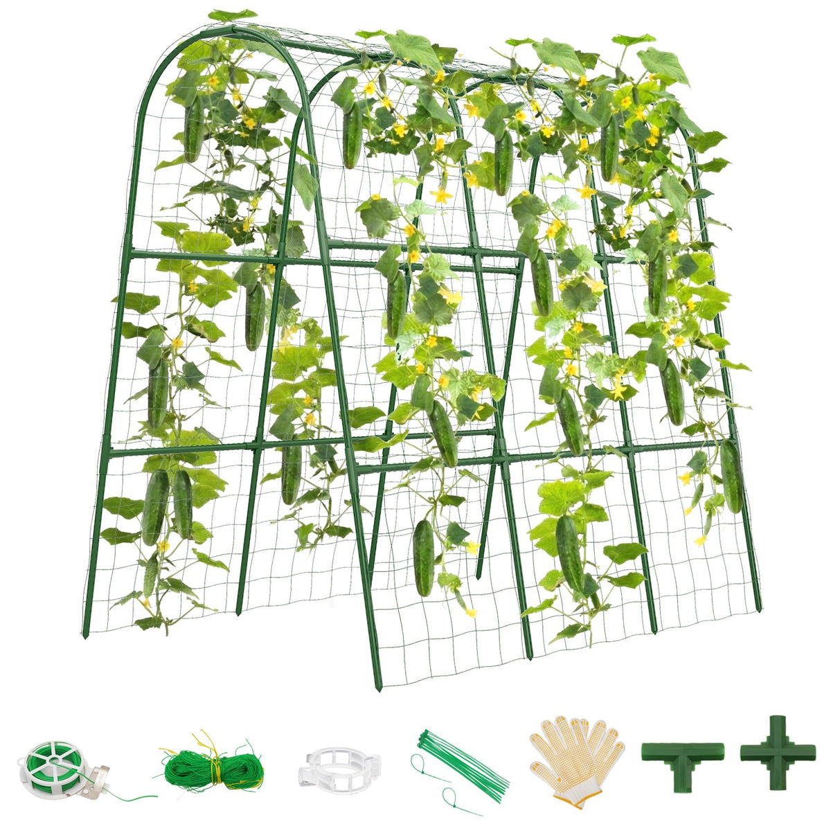 TOCCYARD cucumber trellis arch design supports climbing vines for raised beds.