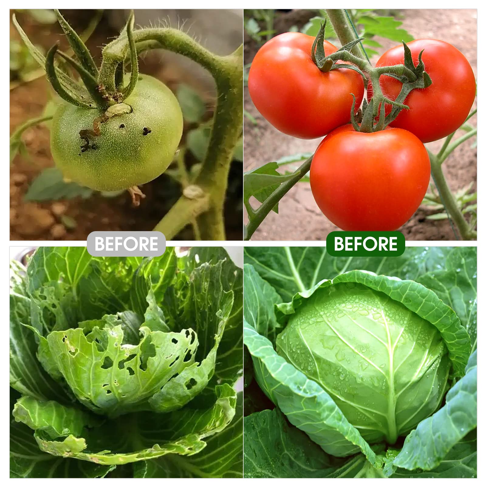 TOCCYARD quick-install hoops with sharp tips for fast soil insertion.