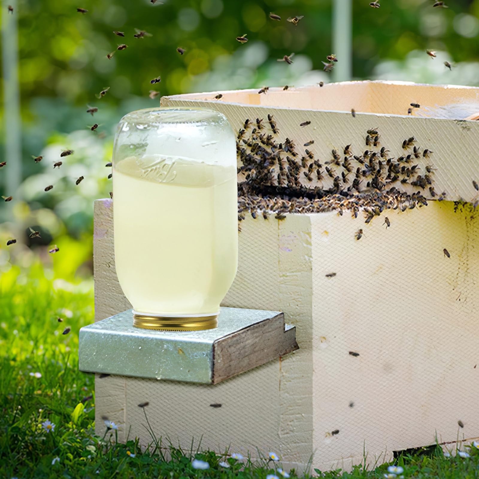 Toddmomy bee feeder on hive entrance demonstrates simple installation for quick feeding setup.