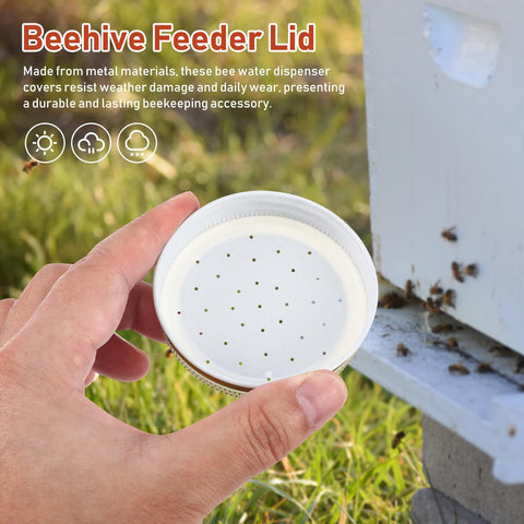 Toddmomy eight-pack feeder ensures multiple hives can be supported.