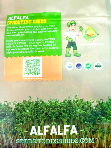 Todd's Seeds alfalfa sprouting seeds closeup, premium seeds for fast germination.