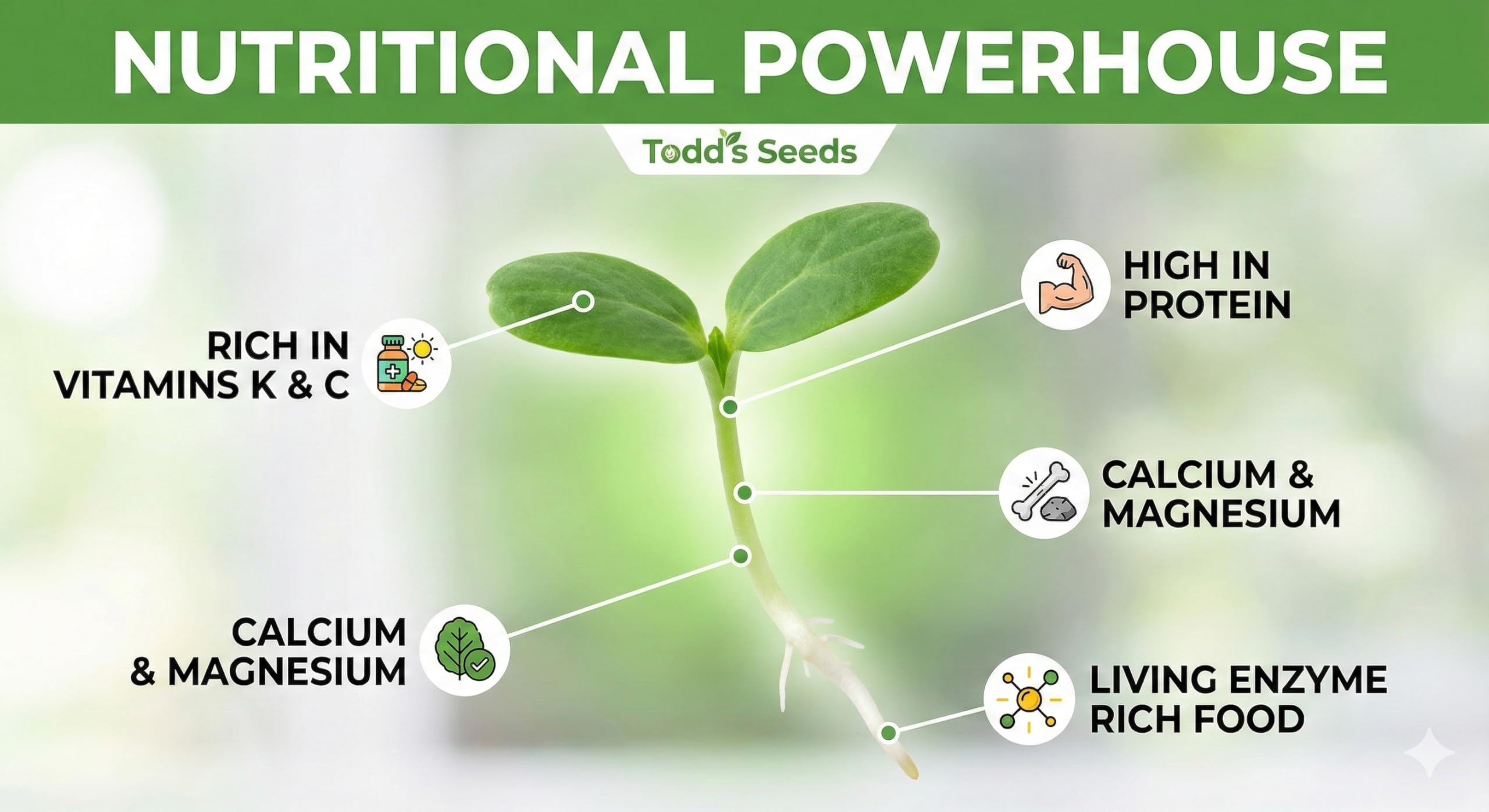 Todd’s Seeds alfalfa sprouts on a sandwich for crunch