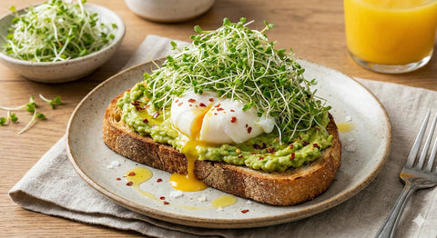 Todd's Seeds alfalfa sprouts on a sandwich for crunch