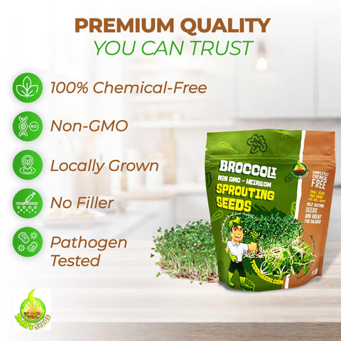 Todd's Seeds Calabrese broccoli sprouts close-up shows tiny greens ideal for quick meals.