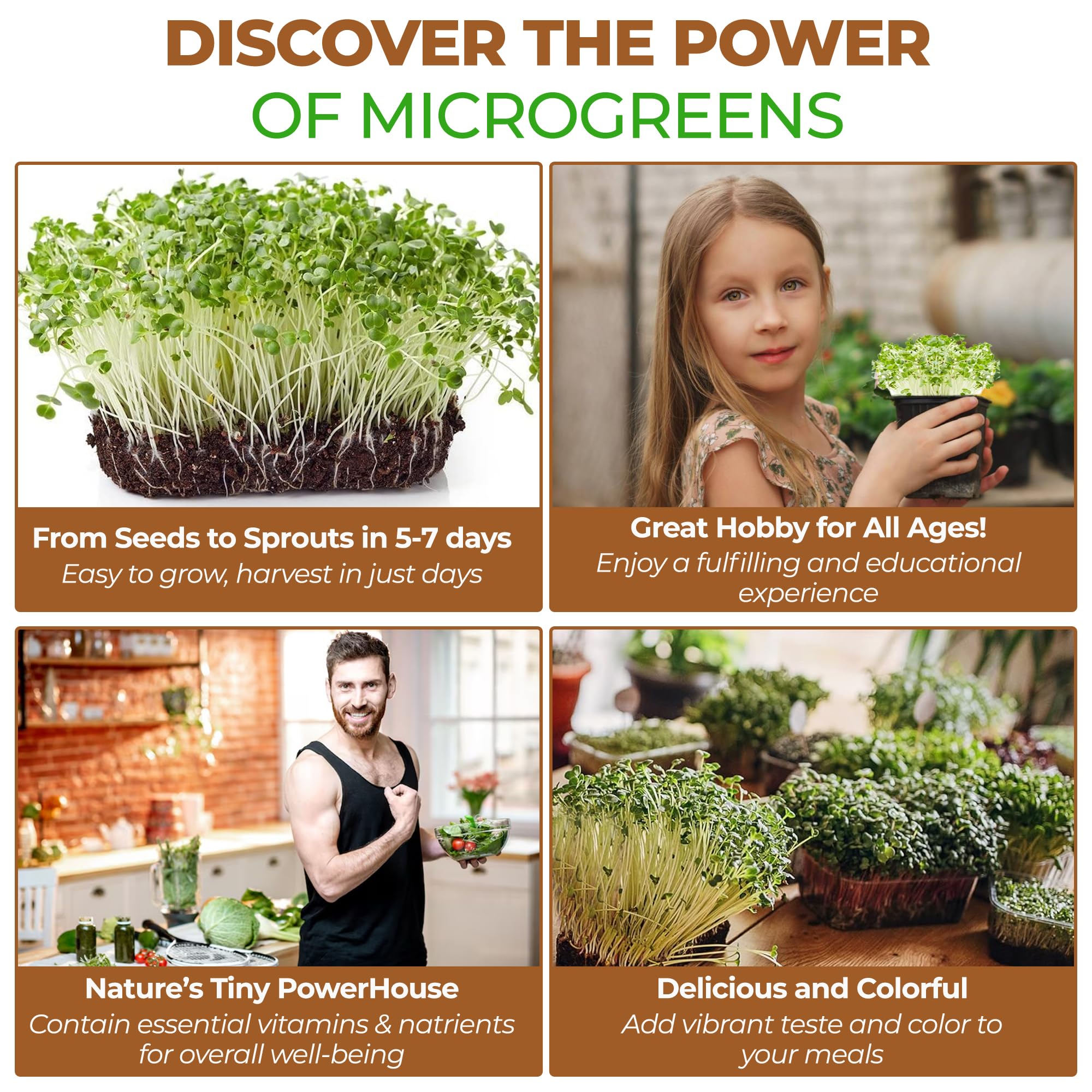 Todd's Seeds Calabrese broccoli sprouts lab seal highlights quality and safety checks.