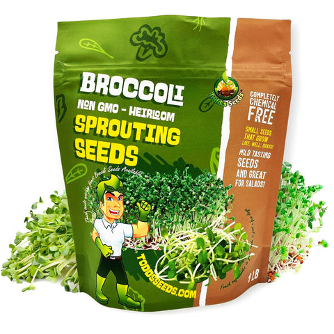 Todd's Seeds Calabrese broccoli sprouts packet ready for home sprouting and fresh salads.