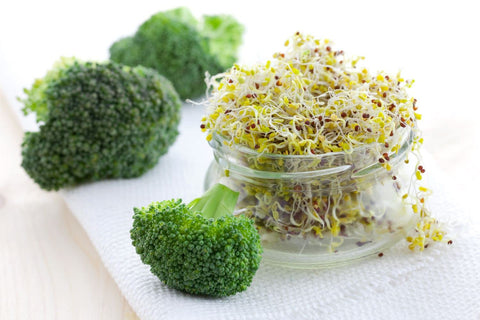 Todd's Seeds Calabrese broccoli sprouts fresh salad addition supports crunchy, nutrient-rich meals.