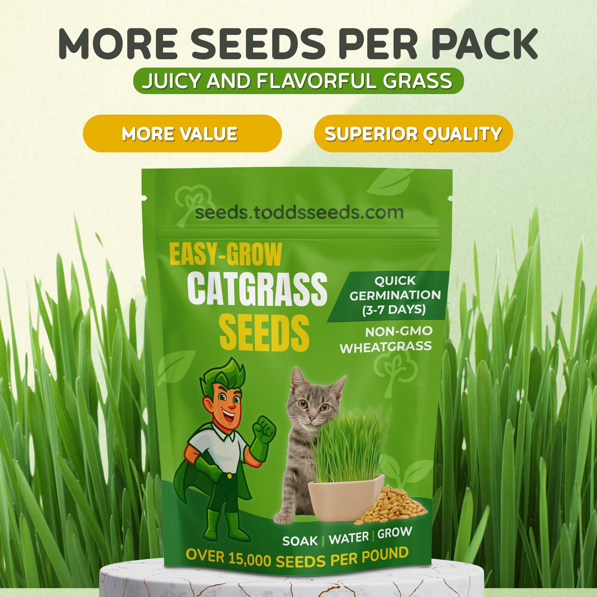 Todd's Seeds cat grass growth tray ready to sprout indoors.