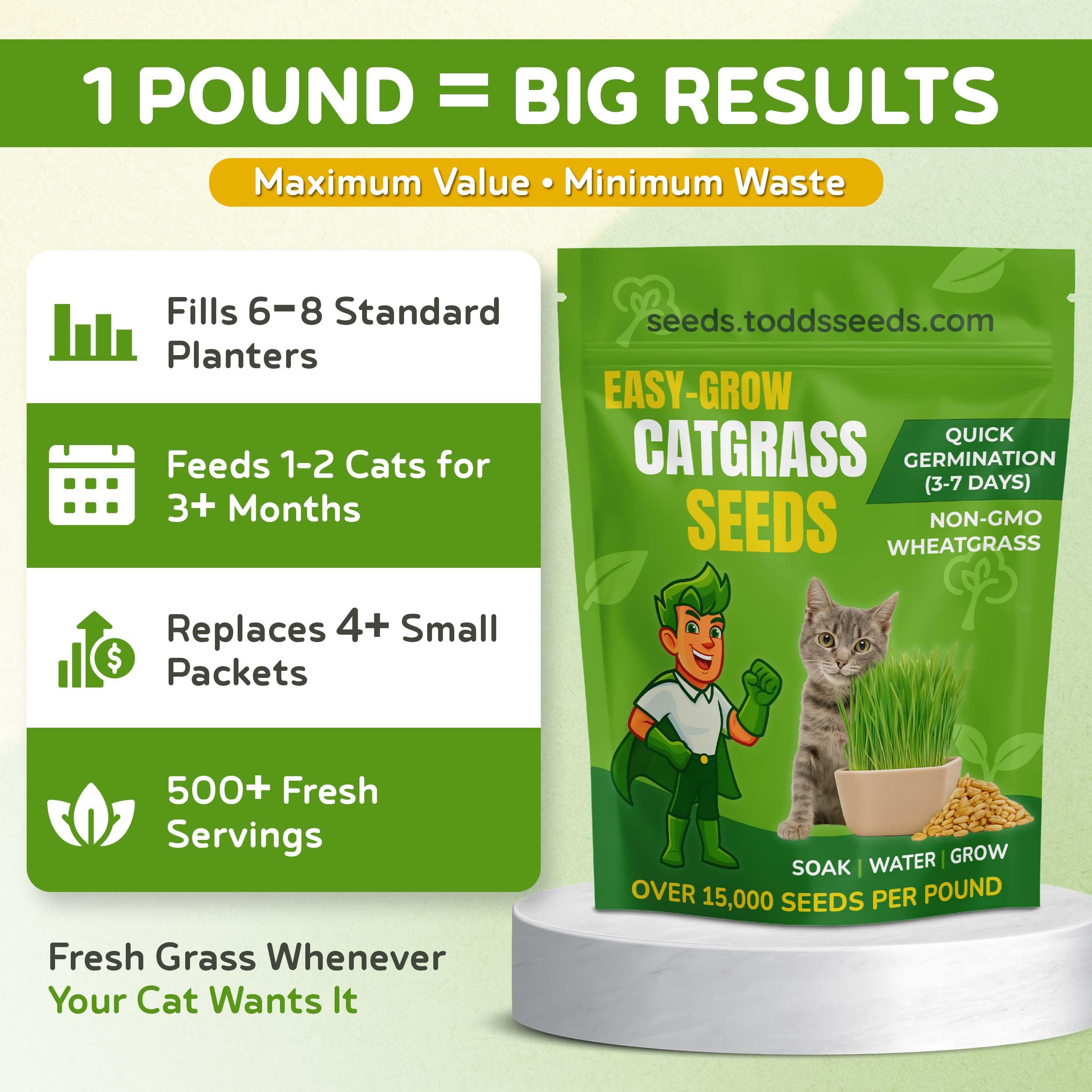 Todd's Seeds cat grass harvest-ready, ready for quick snacking.
