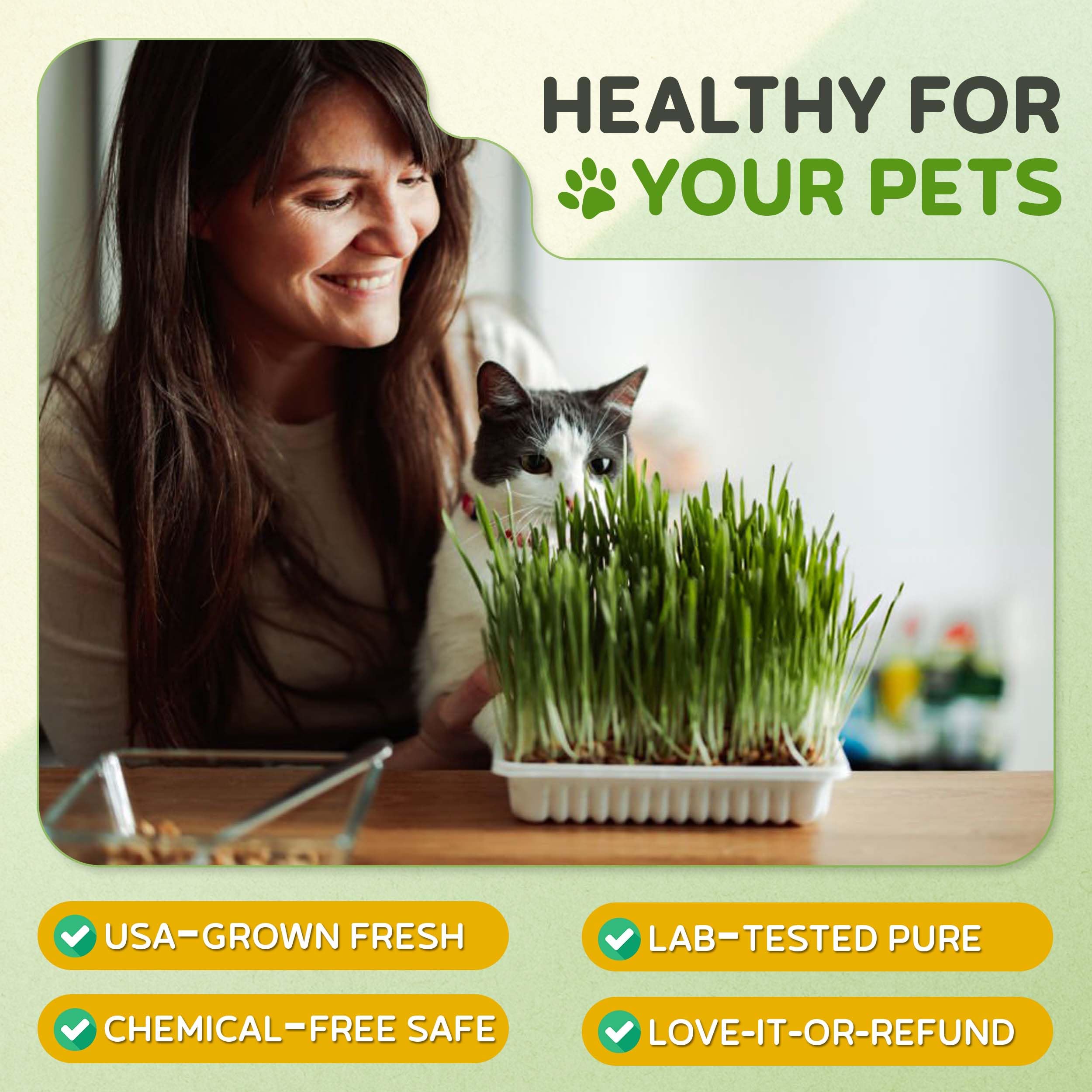 Todd's Seeds cat grass is 100% non-GMO and chemical-free for pet safety.