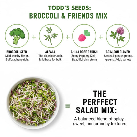 Todd's Seeds chemical-free seed mix ready for clean, home sprouting.