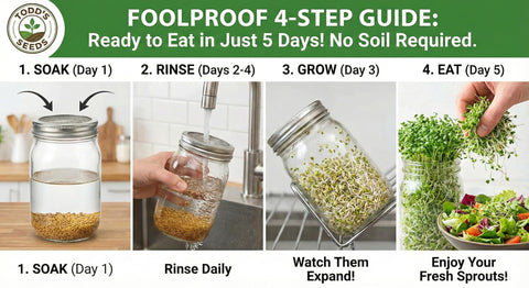 Todd's Seeds fast-growing seeds label, quick harvest for weekly salads.