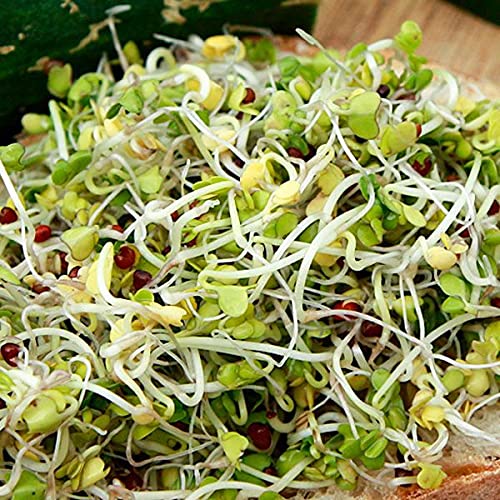 Todd's Seeds glucoraphanin-rich broccoli seeds for flavorful sprouts