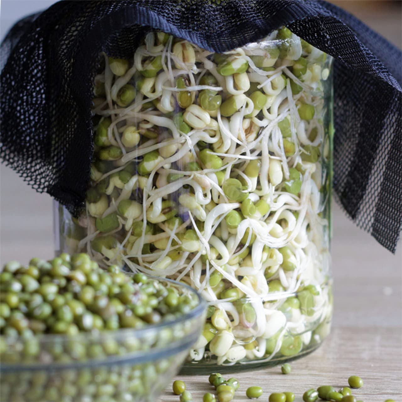 Quarter-pound Todd's Seeds sprouting mix starter for families