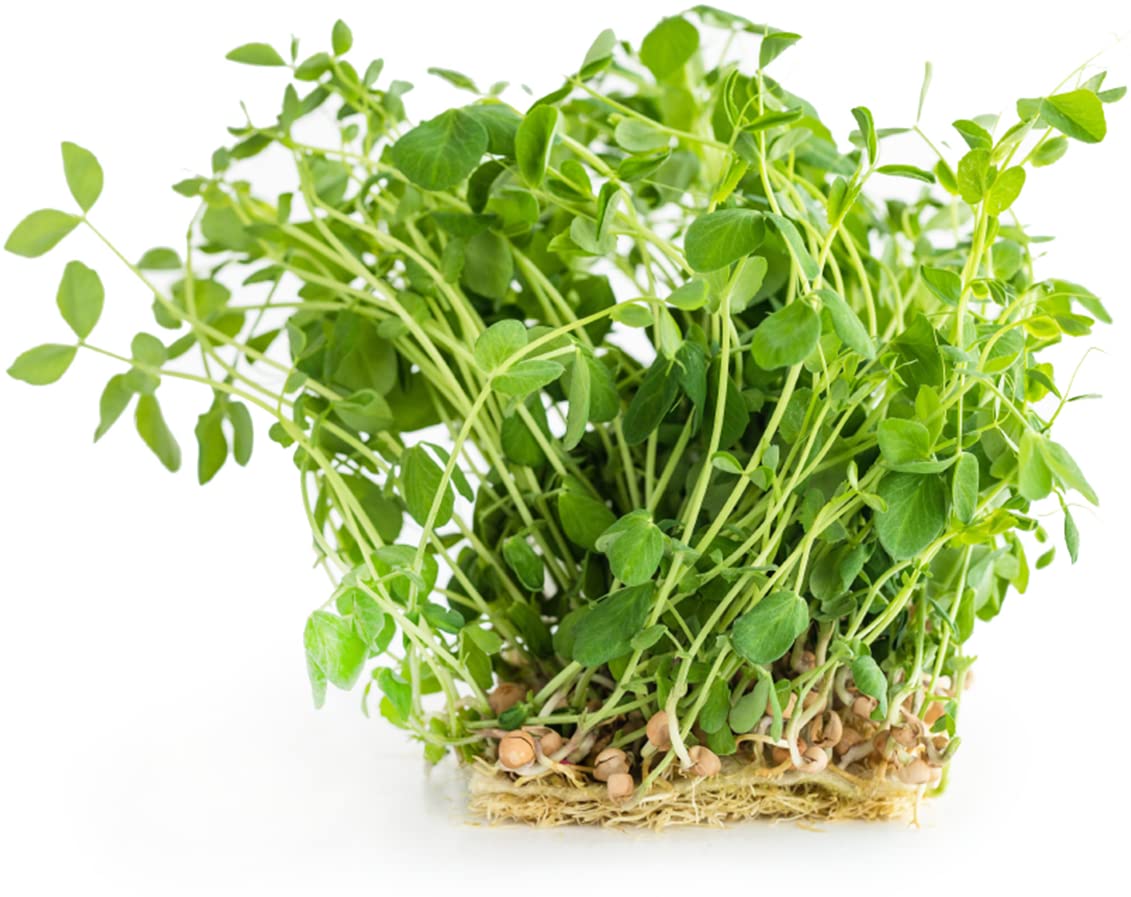 Todd's Seeds soaked green lentils image suggests quick prep for wholesome snacks.