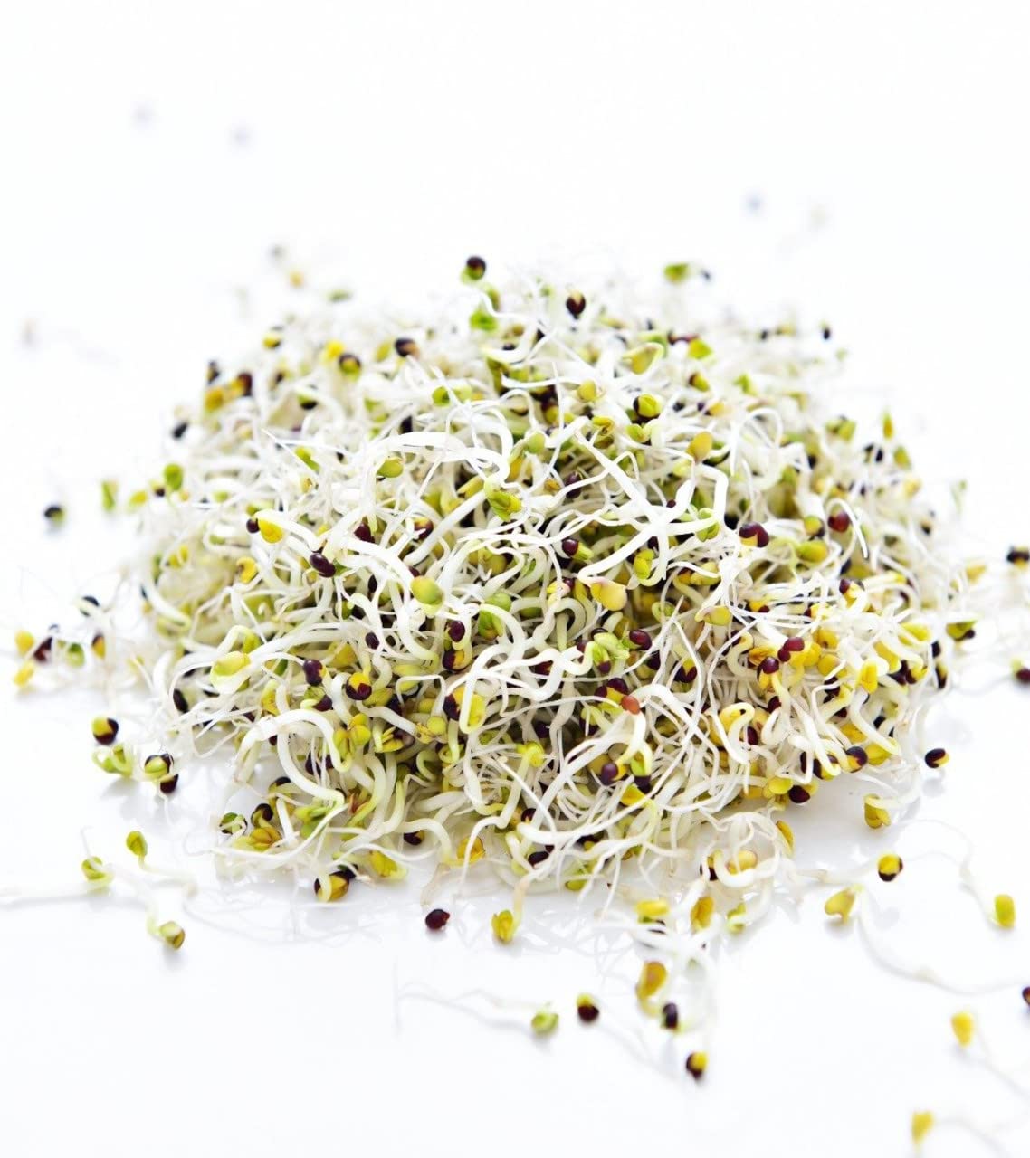 Todd's Seeds sprout tray setup with broccoli microgreens