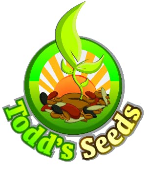 Todd's Seeds sprouted garbanzo beans on a kitchen counter for meals.