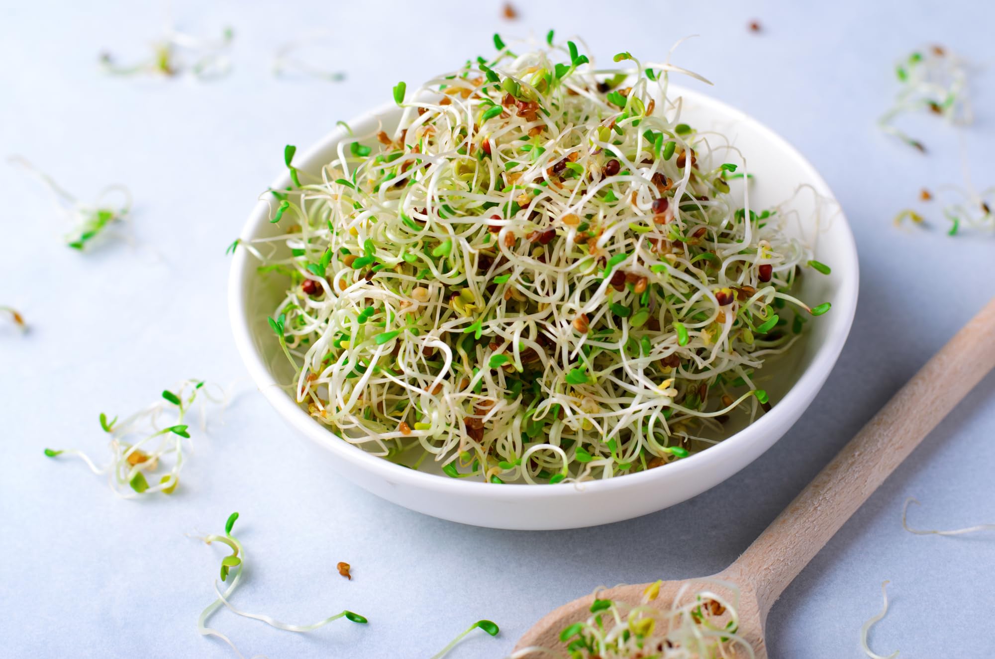 Todd's Seeds vitamin-rich alfalfa, supports vitamins in meals.