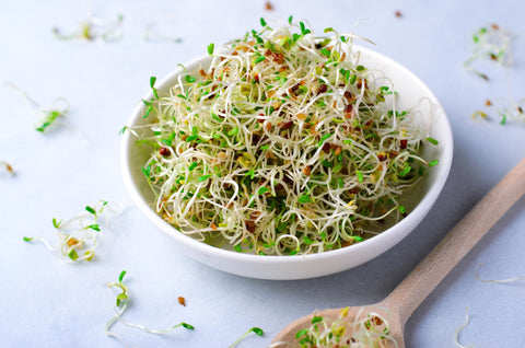 Todd's Seeds vitamin-rich alfalfa, supports vitamins in meals.
