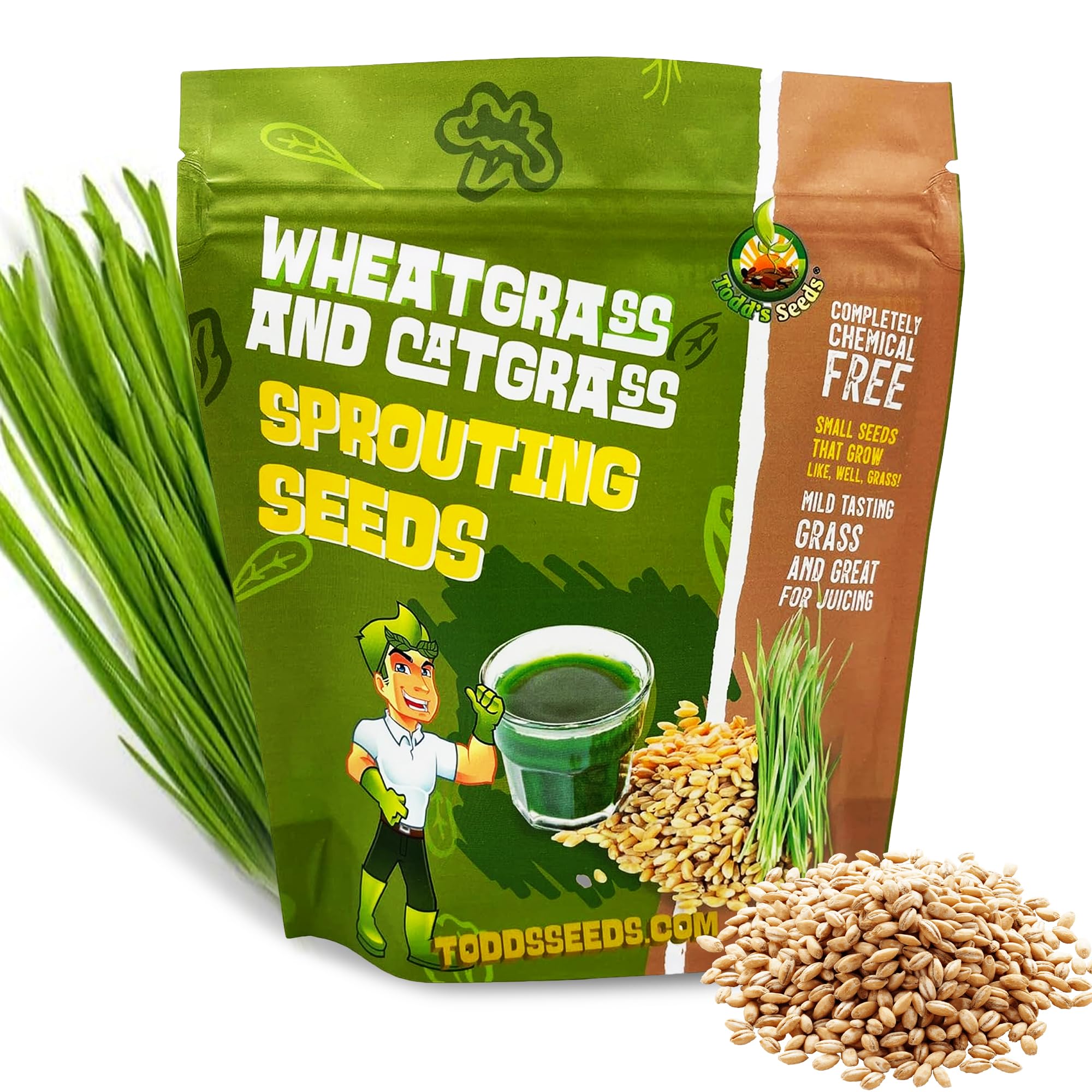Todd's Seeds wheatgrass seeds in a quarter-pound pack ready to plant