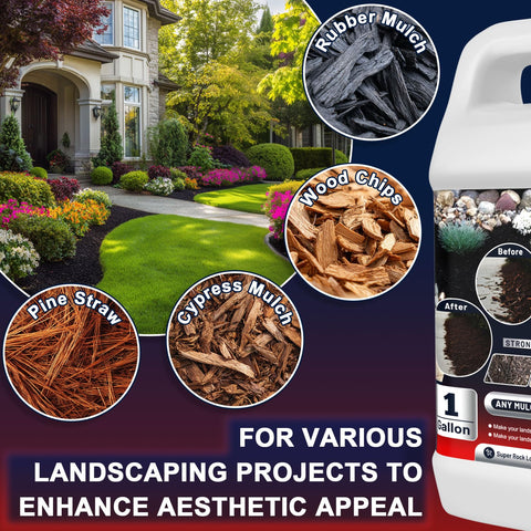 Togcolr Mulch Glue over mulch bed highlights stable borders with reduced maintenance.