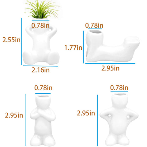 Together-life air head planter centerpiece for shelves or tables.
