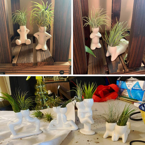 Together-life mini ceramic air plant pots for small greenery.