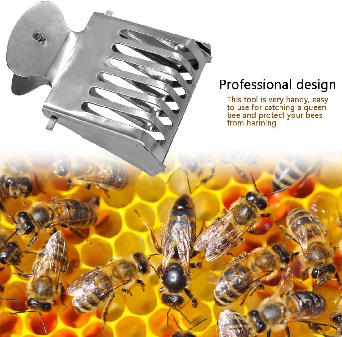 Together-life 10-pack queen bee clips catcher cages in sturdy packaging.