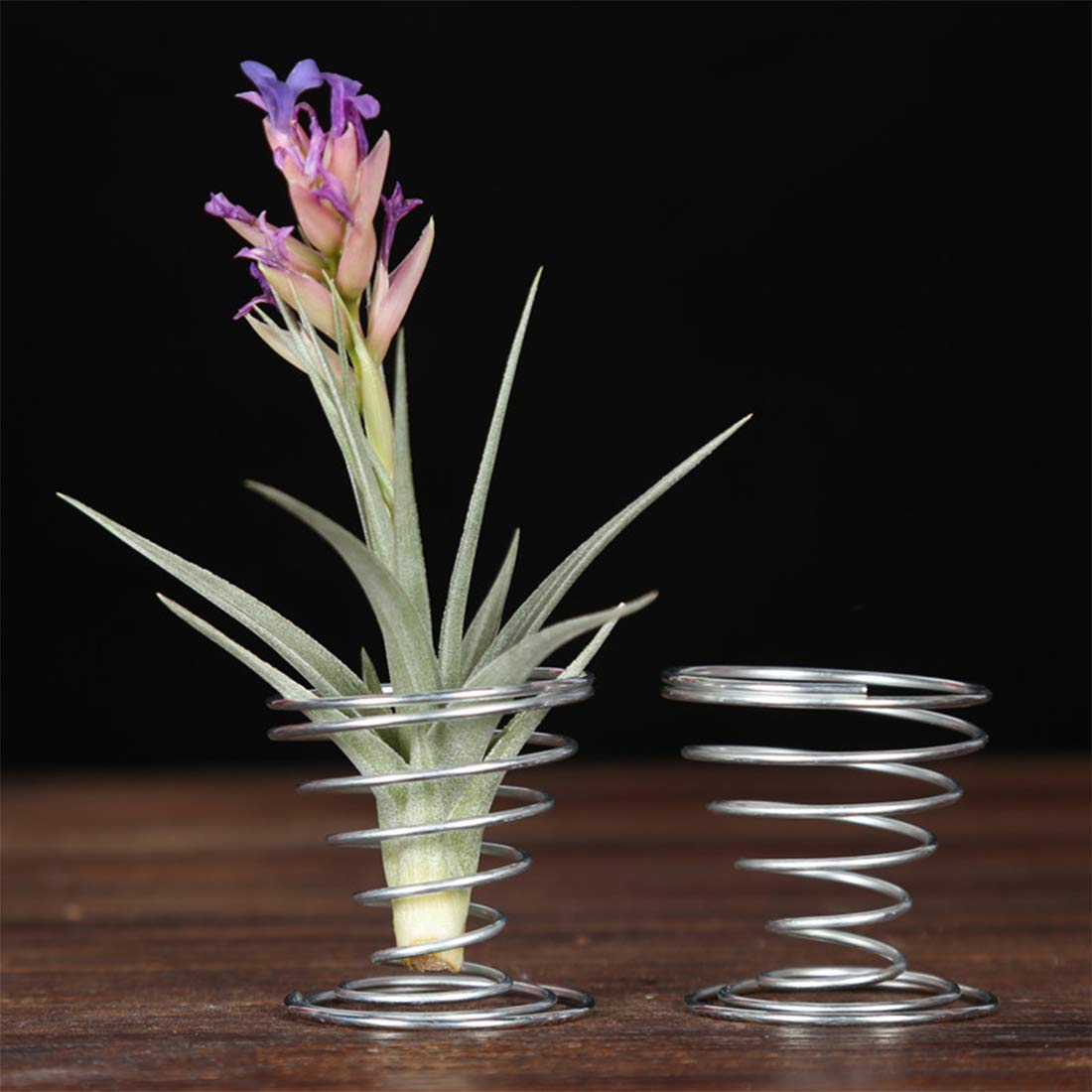 Together-life PVC suction cup base provides reusable, strong grip