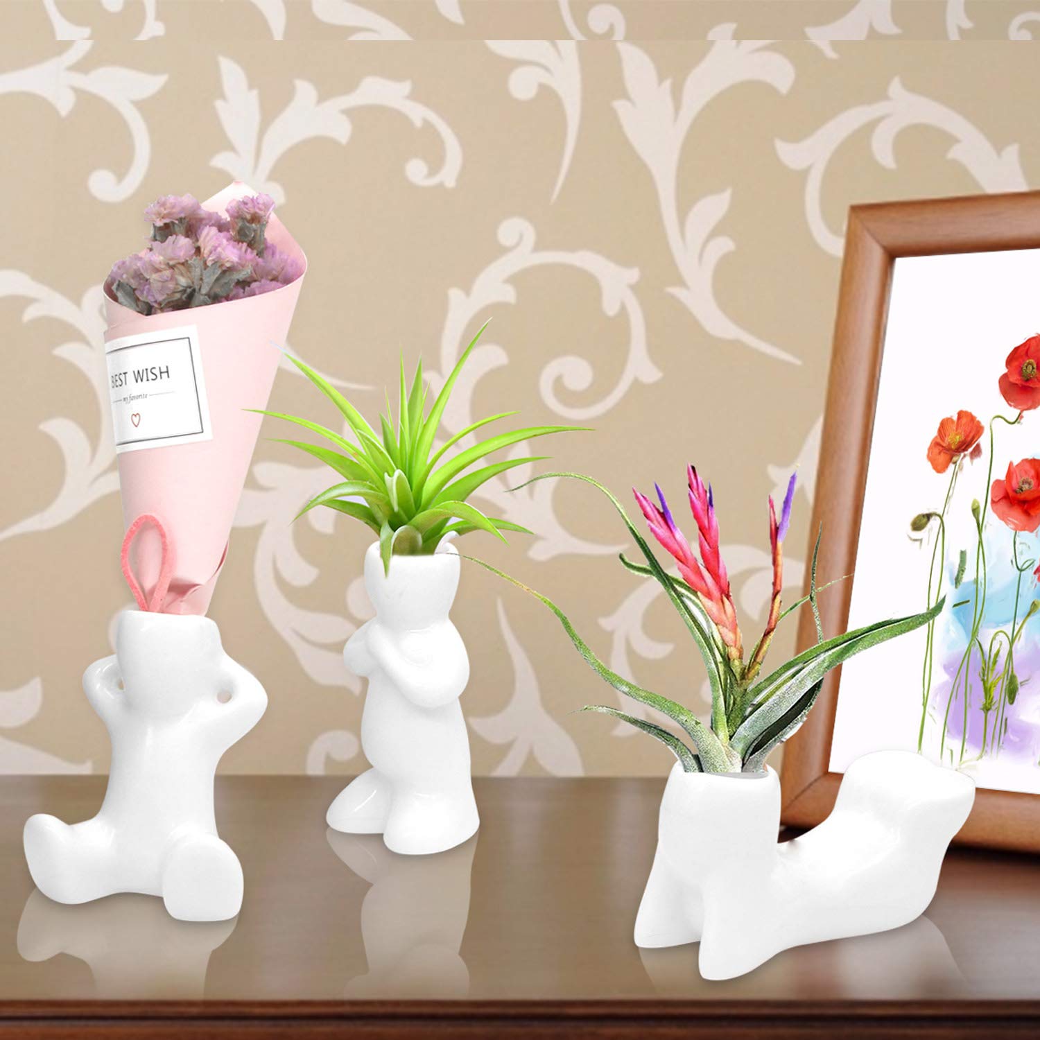 Together-life tabletop air plant holder four pack for easy styling.