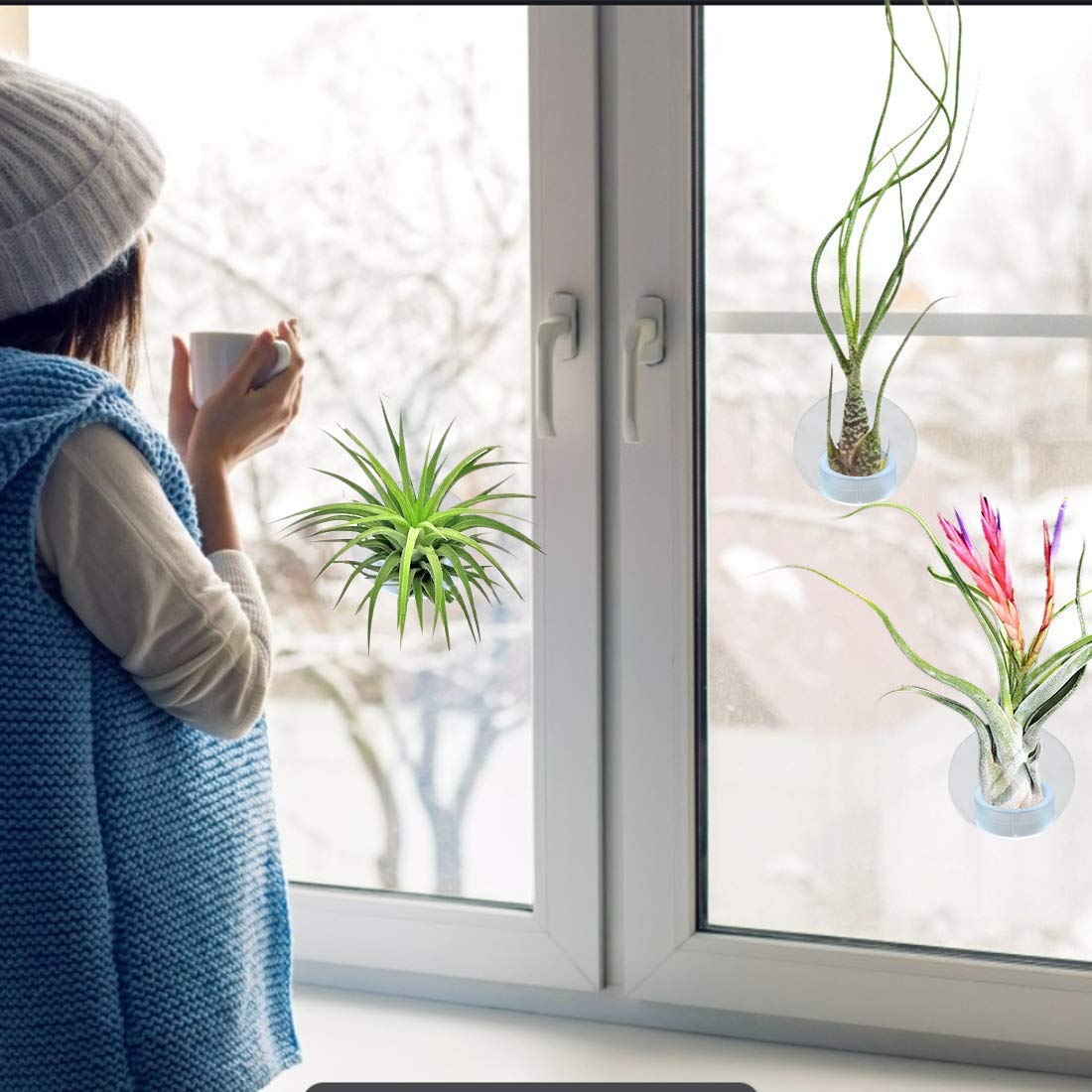 Together-life tabletop holder showcases Tillandsia for modern decor