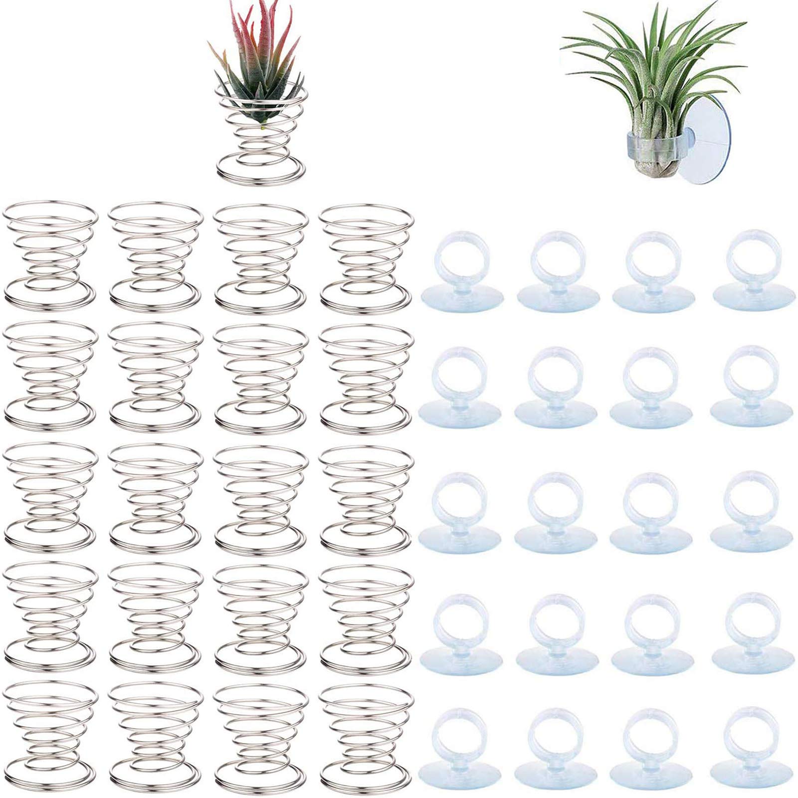 Together-life tilandsia stand with stainless steel base for stable tabletop display