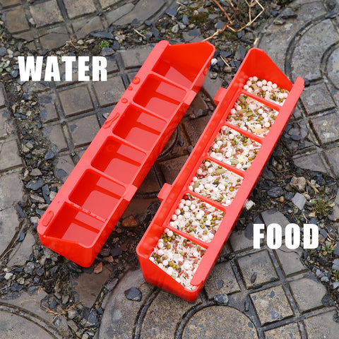TOHONGADON 6-hole poultry feeder keeps feed organized and accessible.