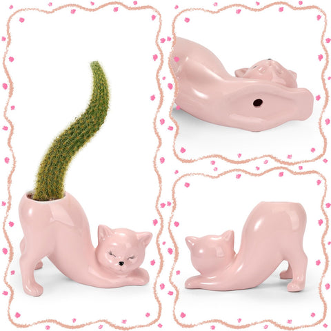 TOIVO cat planter pot gift idea for plant lovers and cat fans