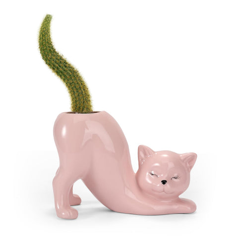 TOIVO cat planter pot pink front view on desk for cheerful greenery