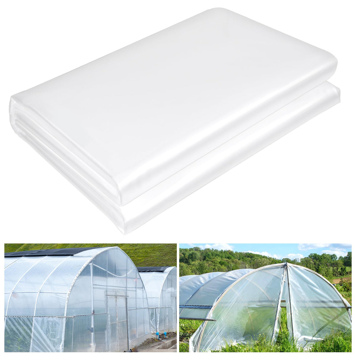 ToLanbbt 12x26 ft clear greenhouse film showing abundant light transmission for thriving seedlings.