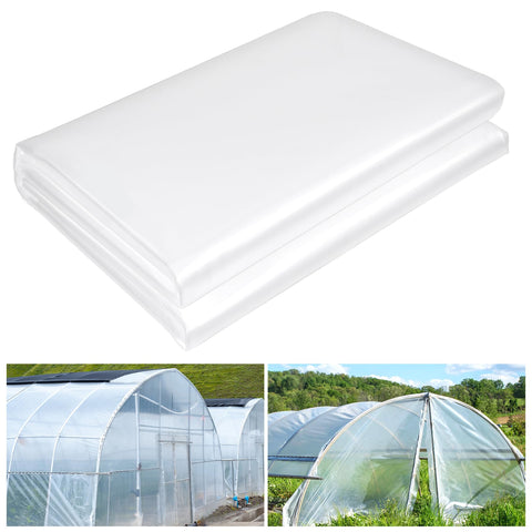 ToLanbbt 12x26 ft clear greenhouse film showing abundant light transmission for thriving seedlings.