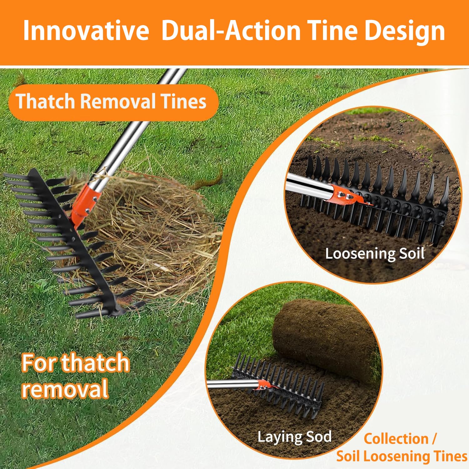 Tolia dual-tine rake tackles dense thatch while protecting grass.