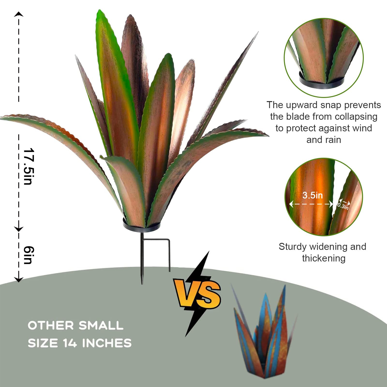 TOMBABY agave leaves detail with 12 leaves adding lush texture to garden beds