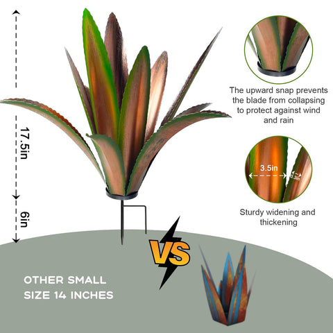 TOMBABY agave leaves detail with 12 leaves adding lush texture to garden beds