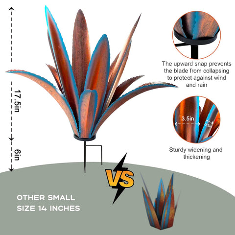 TOMBABY agave twelve-leaf layout highlights a dynamic garden accent.