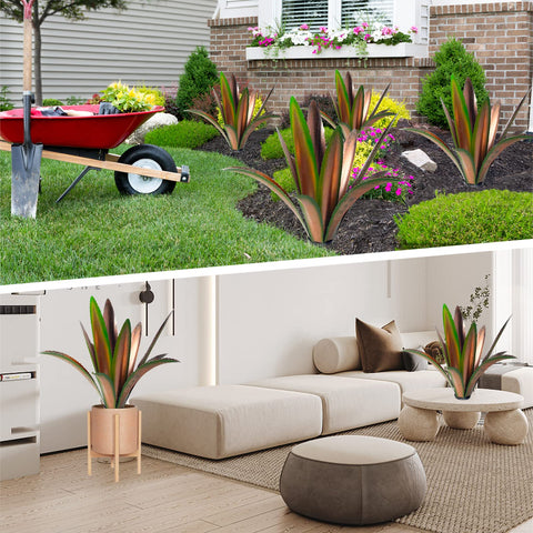 TOMBABY agave yard decor by terrace ideal for patios and courtyards