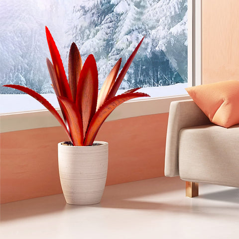 TOMBABY rust metal agave garden art withstands weather for year-round display