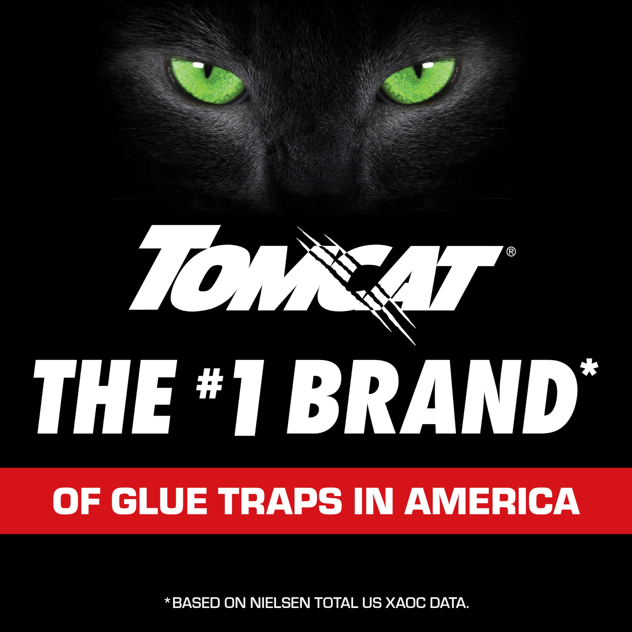Tomcat Glue Board four-traps-per-package provides ongoing pest control coverage.