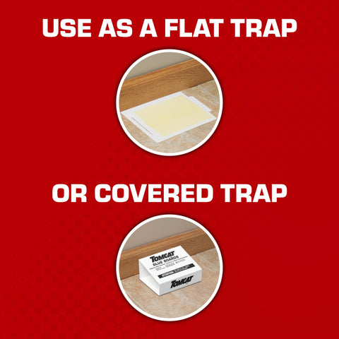 Tomcat Glue Board captures mice with immediate grip for reliable trapping.